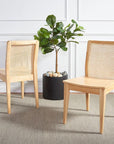 Benicio Dining Chairs (Set of 2) - From Where - 