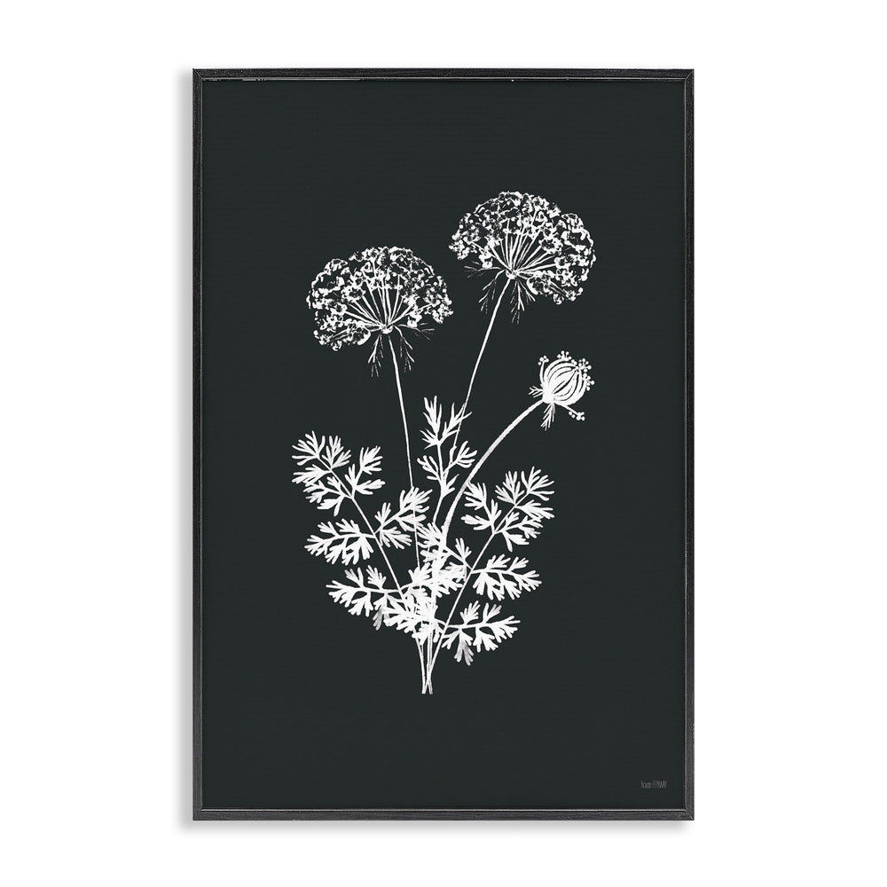 Black Herb Botanical Floral Painting - From Where -