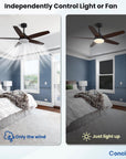 Black/Wood Grain Modern Ceiling Fans - From Where - 