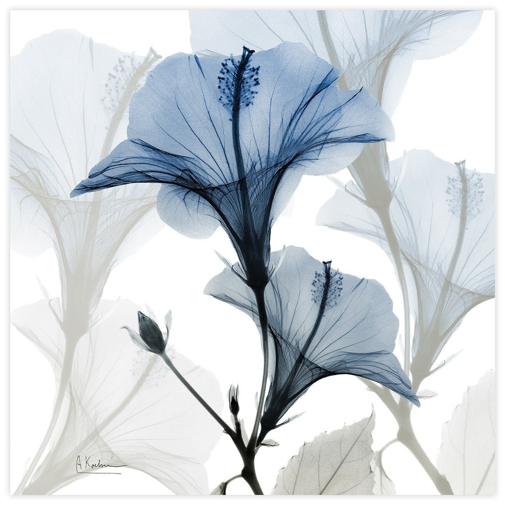 Blue Xray Floral Frameless Graphic Wall Art - From Where - 