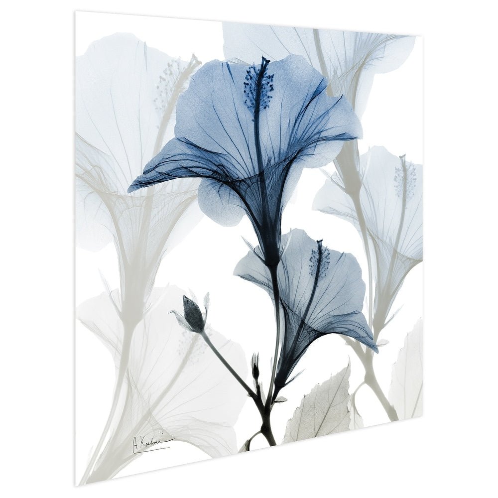 Blue Xray Floral Frameless Graphic Wall Art - From Where - 