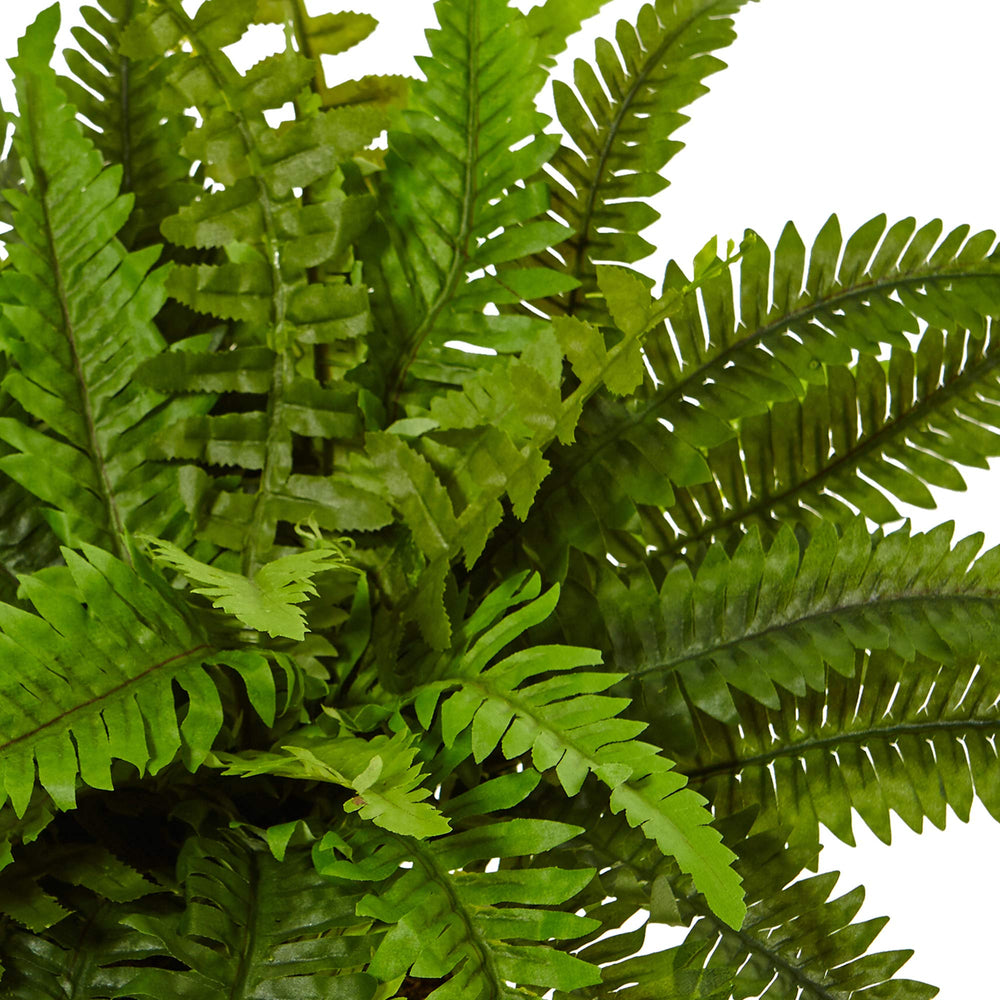 Boston Fern in White Planter Artificial Plant - From Where - 