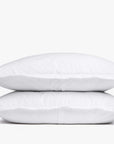 Brushed Cotton Sham Set - From Where - 