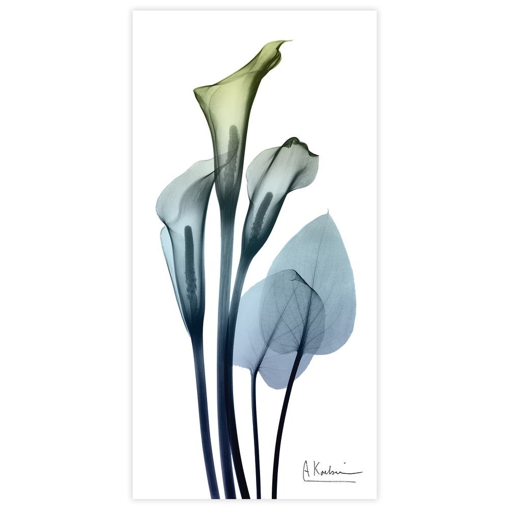 Calia Lily Frameless Graphic Wall Art - From Where - 