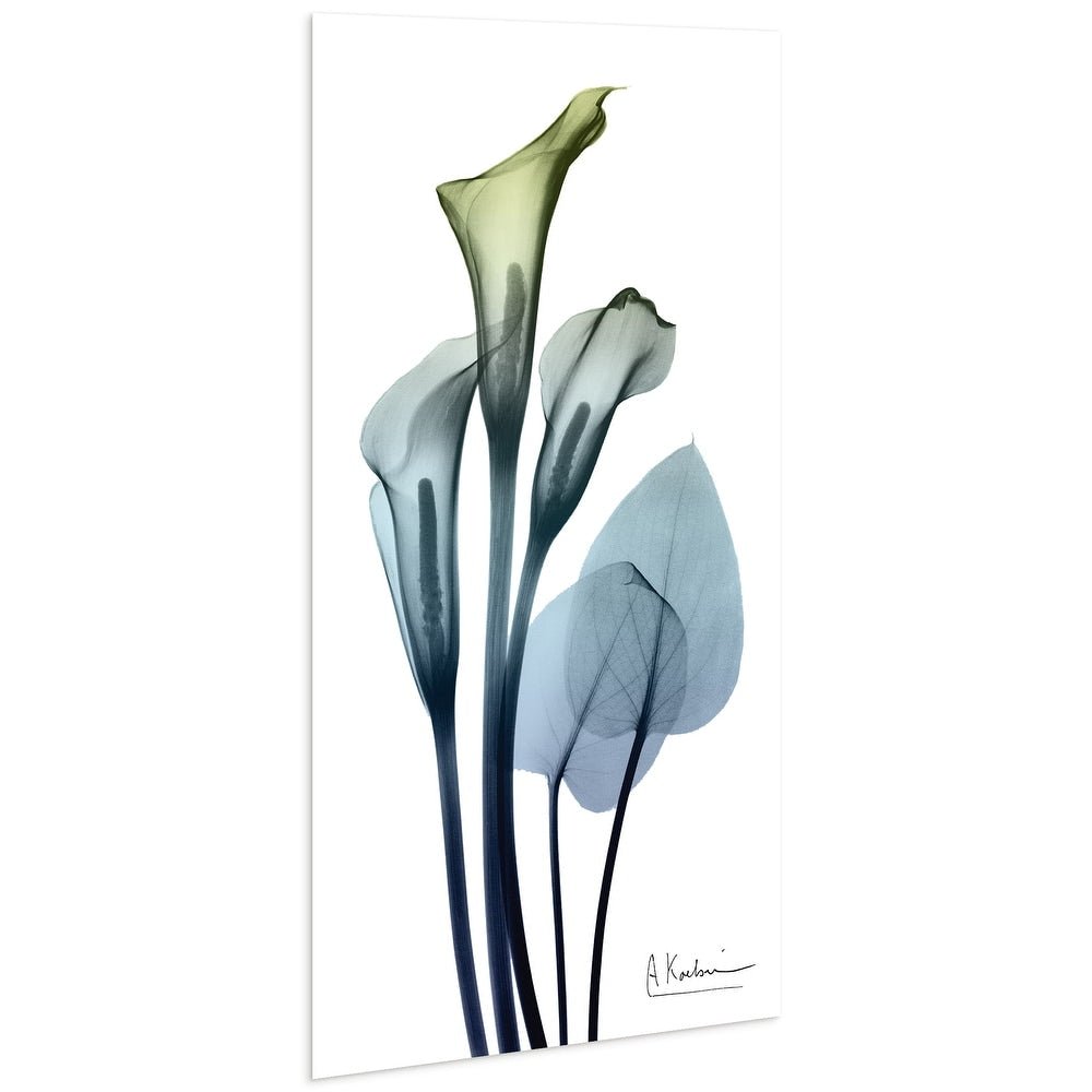 Calia Lily Frameless Graphic Wall Art - From Where - 