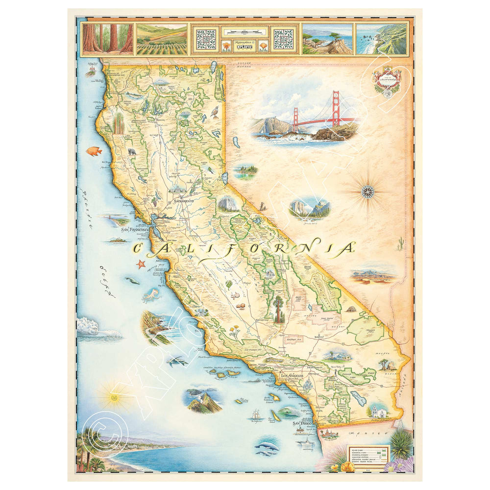 California State Hand - Drawn Map - From Where Finds - Map