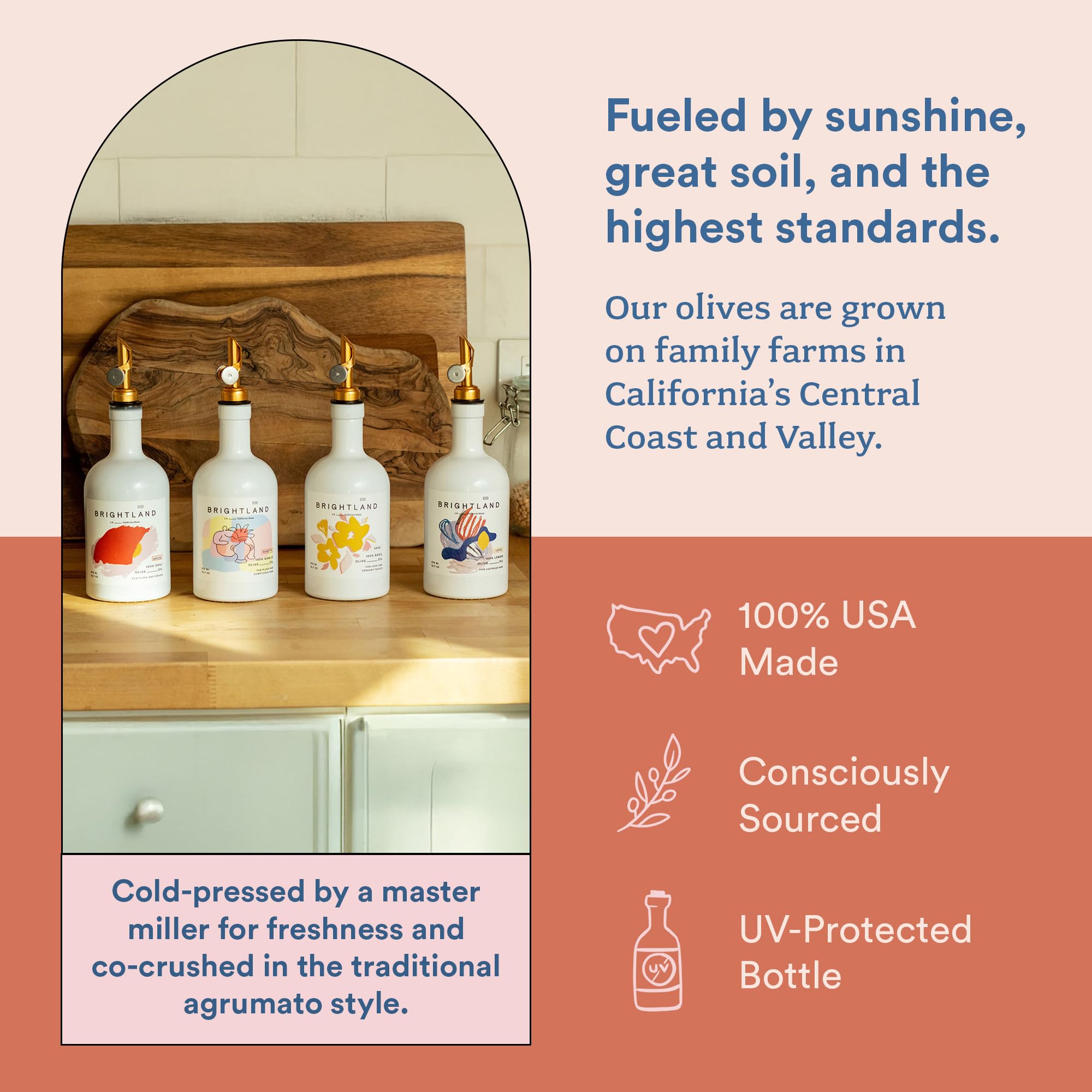 Capsule Infused Olive Oils (Pack of 4) - From Where Finds - 
