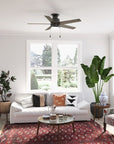Ceiling Fan with LED Light Kit and Pull Chain - From Where - 
