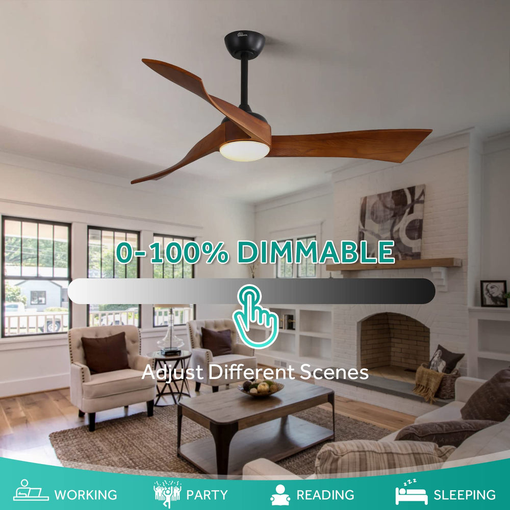 Ceiling Fan with Lights Remote Control - From Where - 