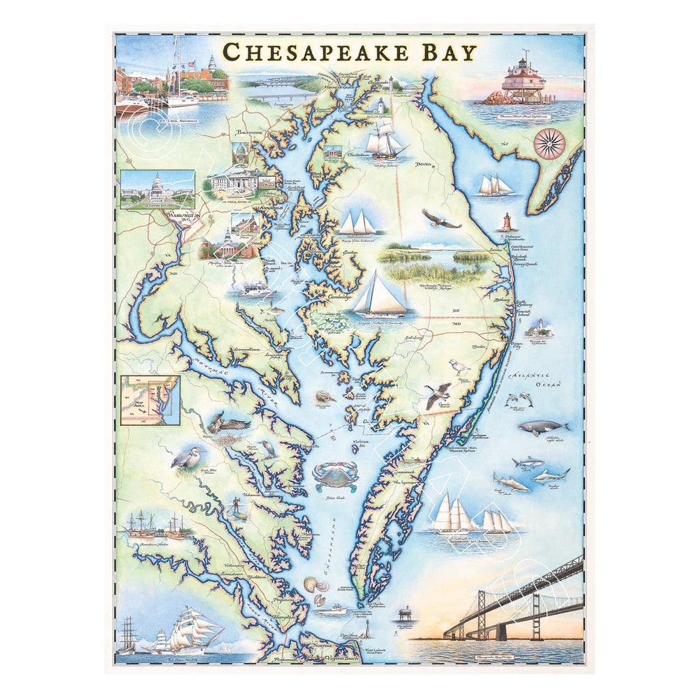 Chesapeake Bay Hand - Drawn Map - From Where Finds - Map