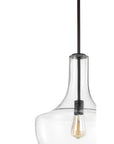 Clear Clear Glass Pendant Light - From Where - 