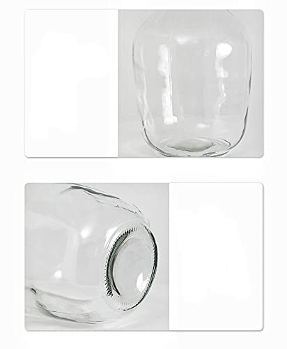 Clear Glass Vase - From Where - 