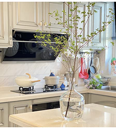 Clear Glass Vase - From Where - 