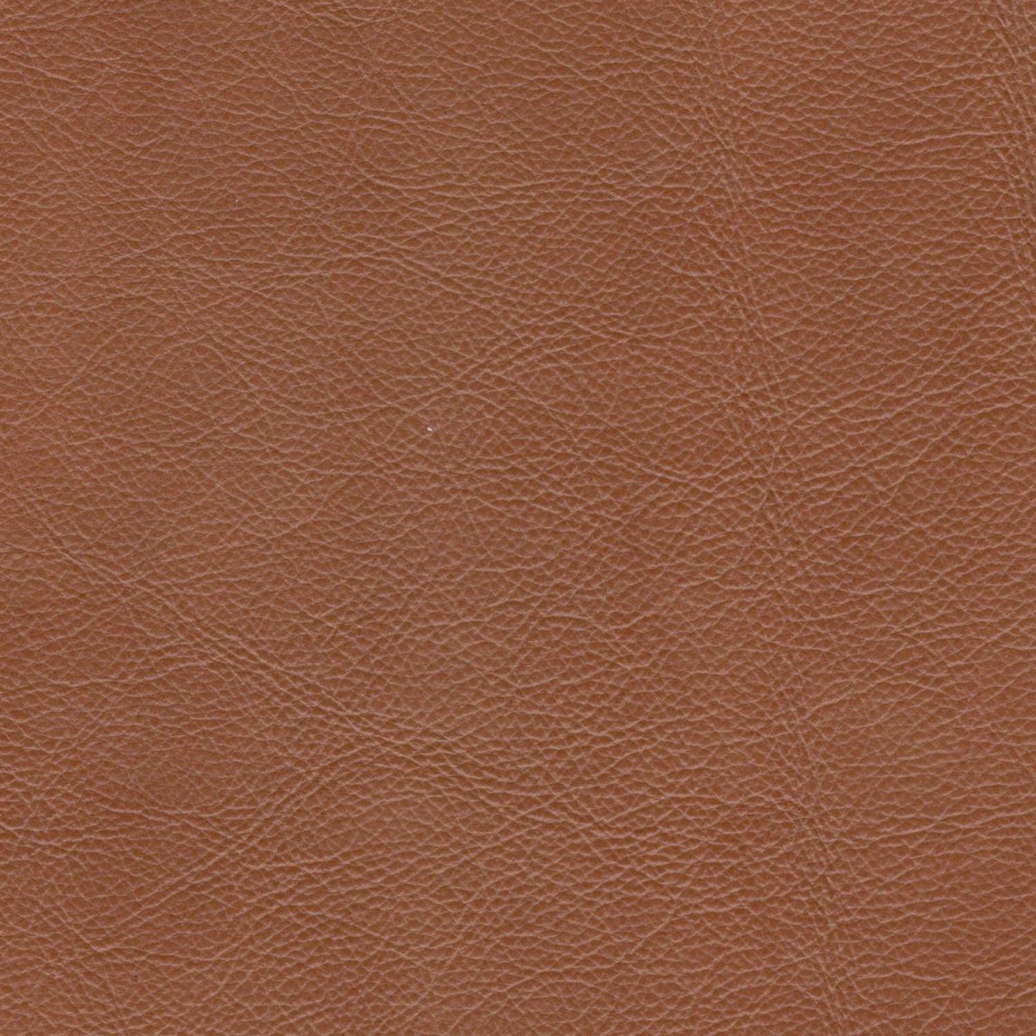 Comfy Mid - Century Modern Leather Sofa, Cognac, Upholstered, Classic Style - From Where - 