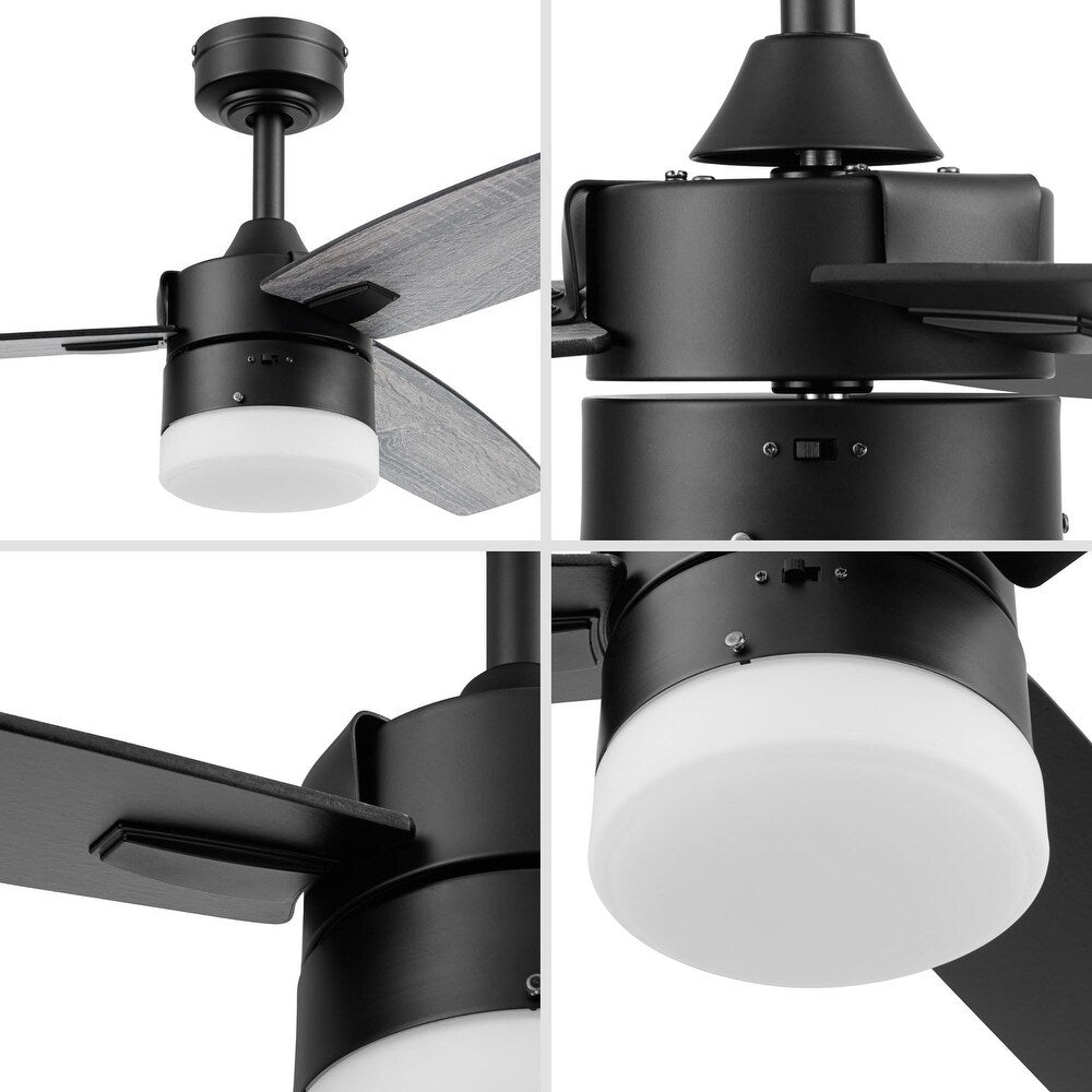 Conifer 42" Outdoor Ceiling Fan - From Where - 