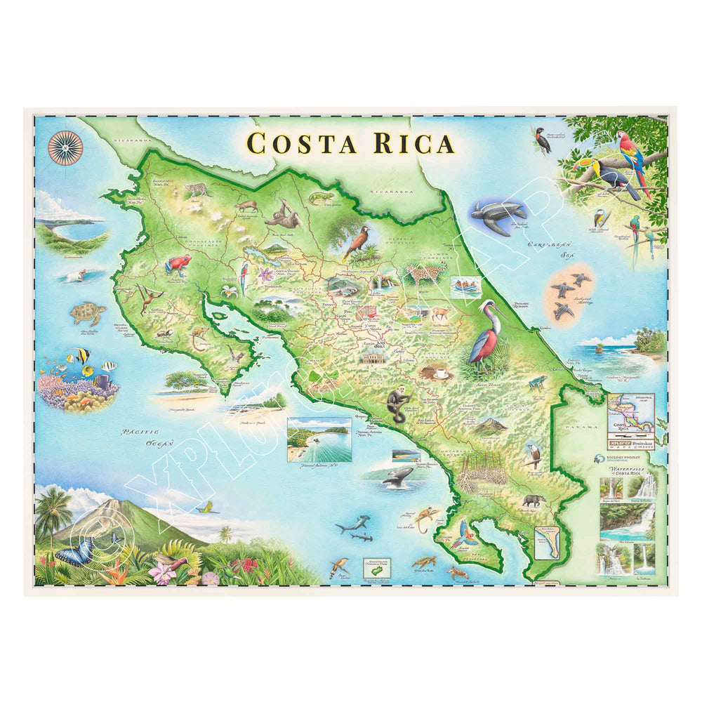 Costa Rica Hand - Drawn Map - From Where Finds - Map