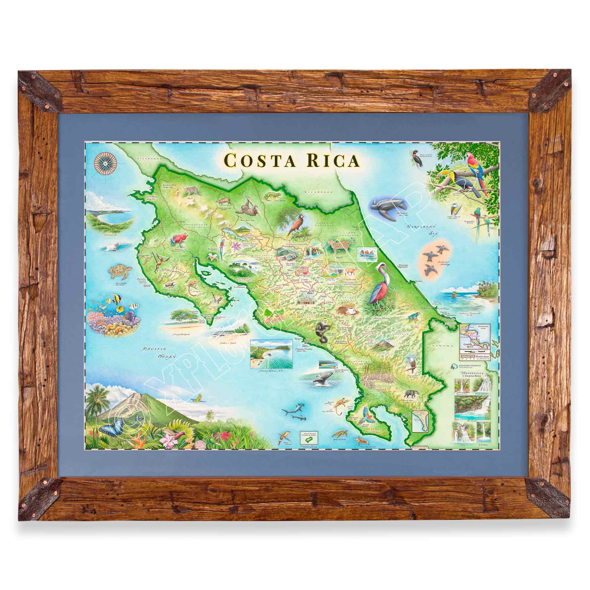 Costa Rica Hand-Drawn Map - From Where Finds - Map