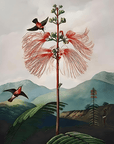 Dark Floral Wall Art (X - Large) - From Where - 