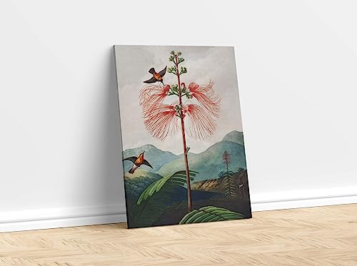 Dark Floral Wall Art (X - Large) - From Where - 