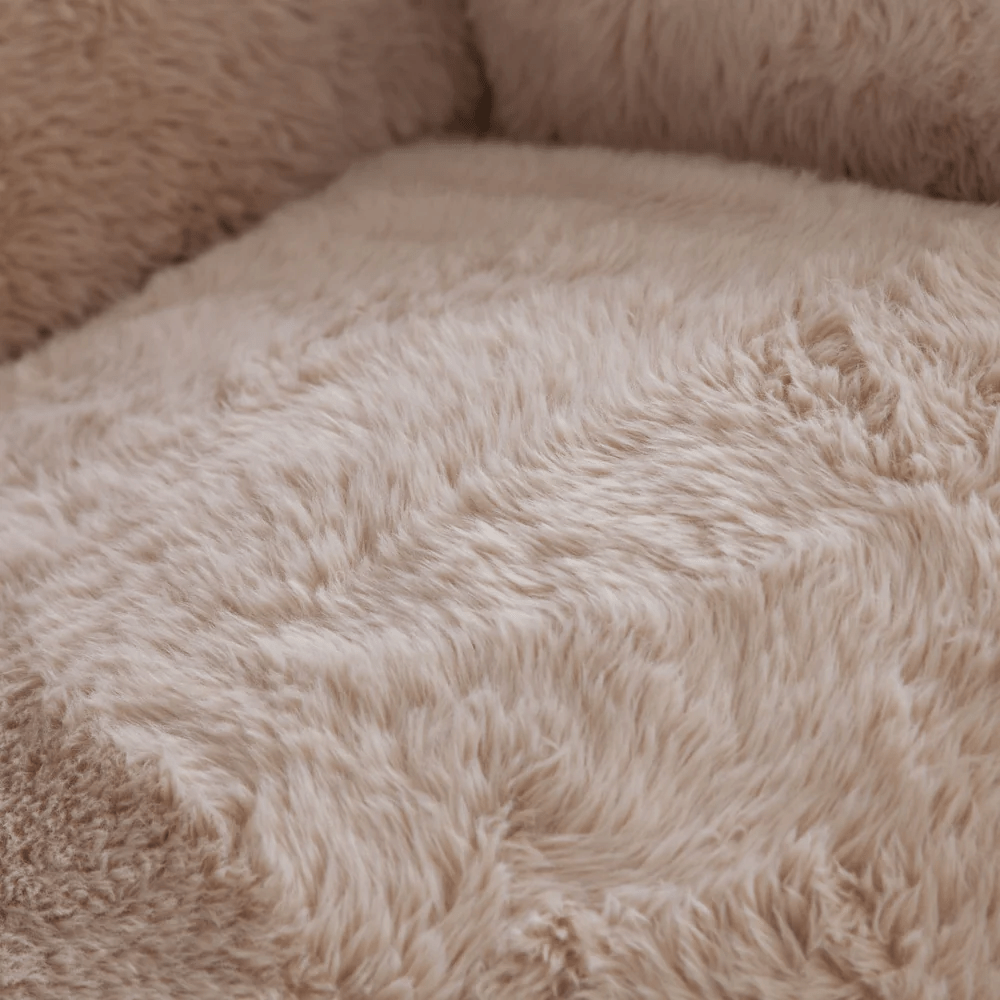 Dawson Collection - From Where - 
