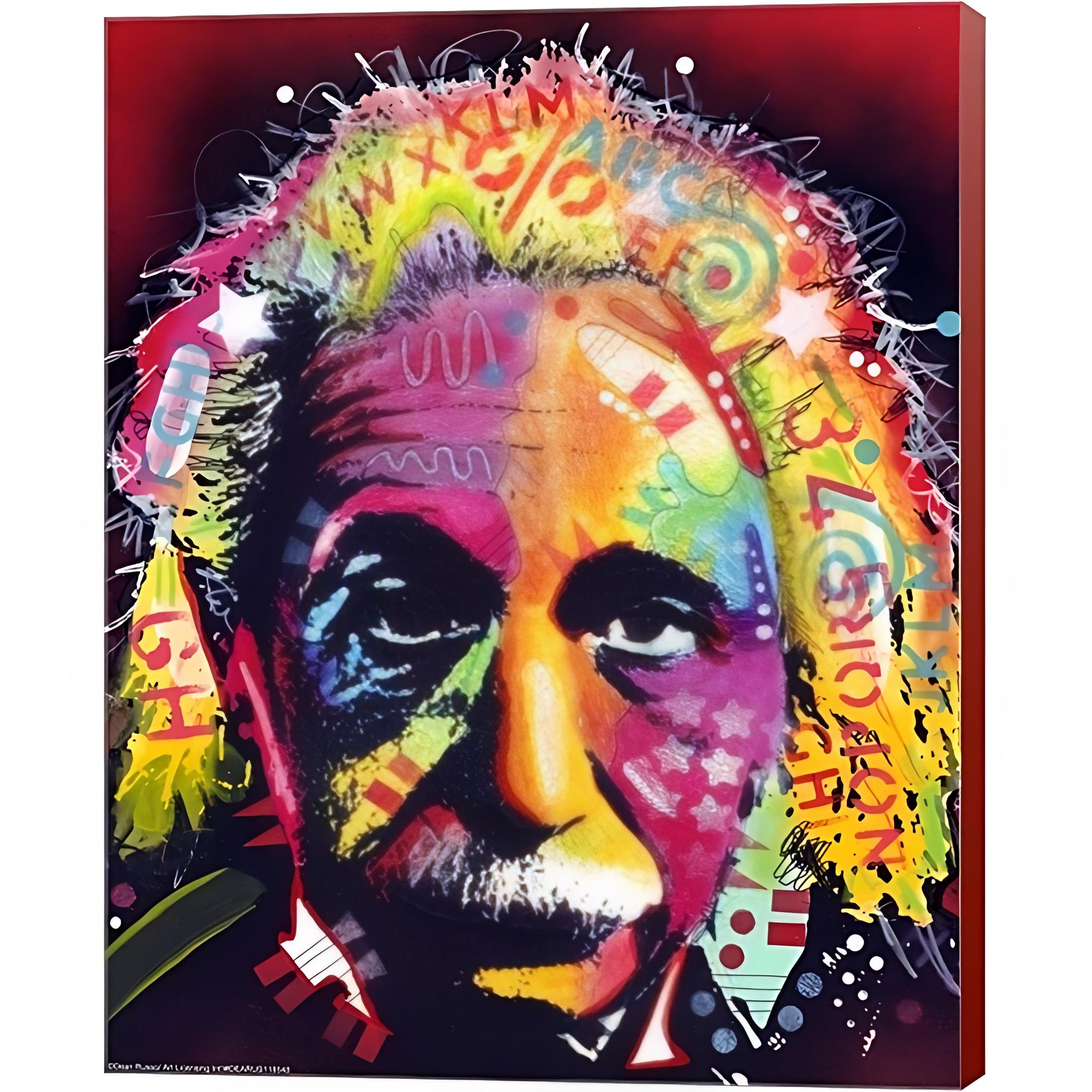 Dean Russo 'Einstein II' Canvas Art - From Where - 