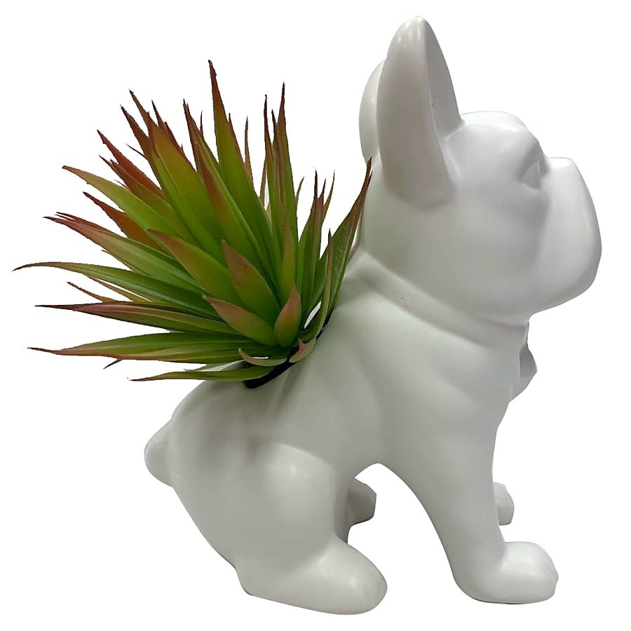 Desktop Succulent Artificial Plant - From Where - 