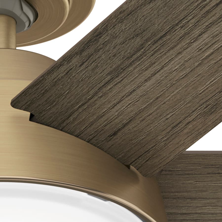 Donatella 52" 6 - Blade Ceiling Fan - From Where - 