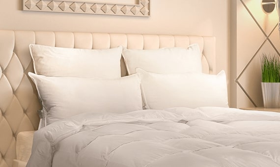 Cascada Summit WGD Comforter