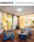 12 Inch LED Flush Mount Ceiling Light