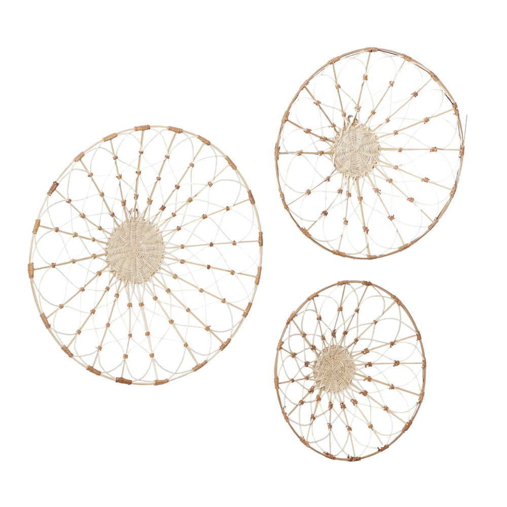 Dried Plant Plate Home Wall Decor - From Where - 