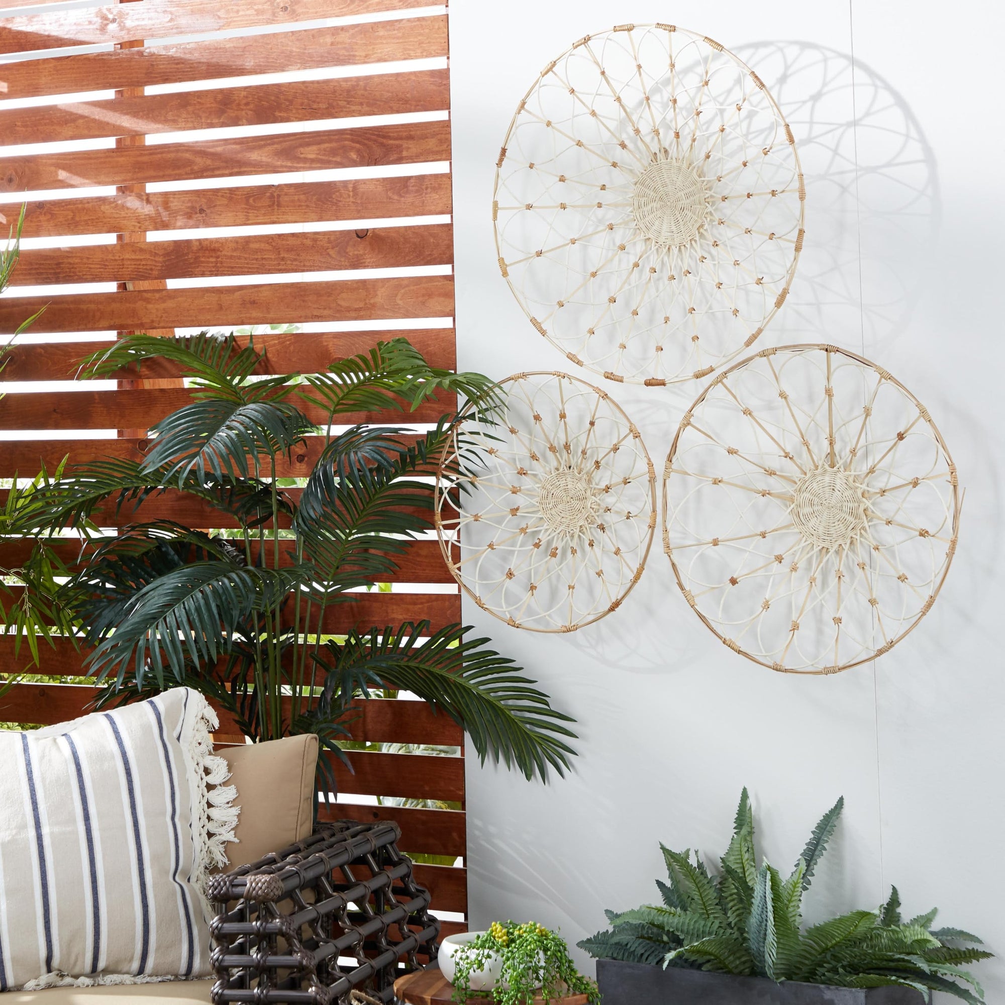 Dried Plant Plate Home Wall Decor - From Where - 