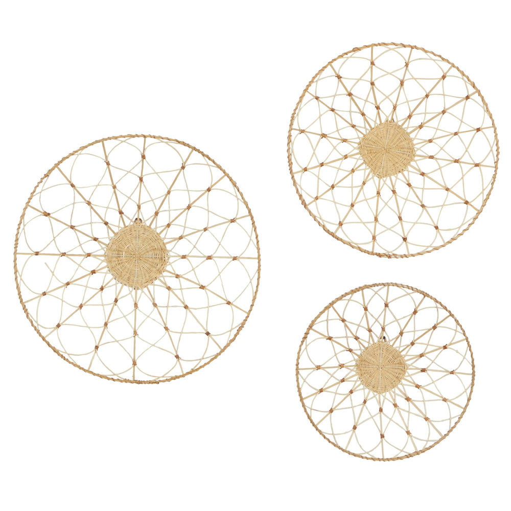 Dried Plant Plate Home Wall Decor - From Where - 