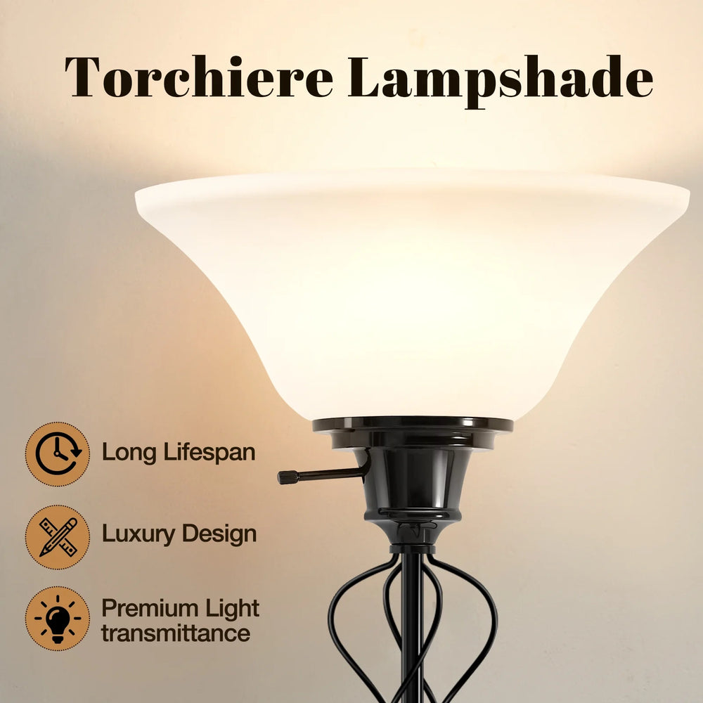 70in Black Floor Lamp