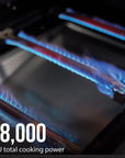 Expert Grill 4 Burner Propane Gas Grill - From Where - 