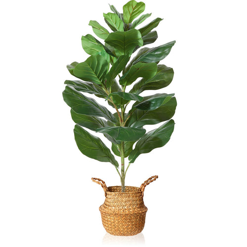 Fake Potted Ficus Lyrata Plant with Handmade Seagrass Basket - From Where - 