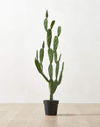 Faux Potted Cactus Plant 4'9" - From Where - 