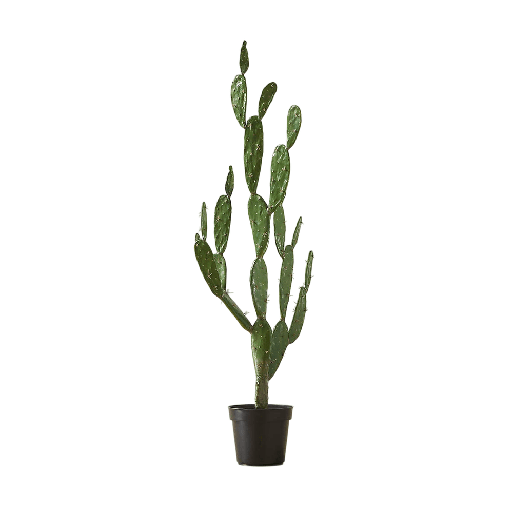 Faux Potted Cactus Plant 4'9" - From Where - 
