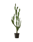 Faux Potted Cactus Plant 4'9" - From Where - 