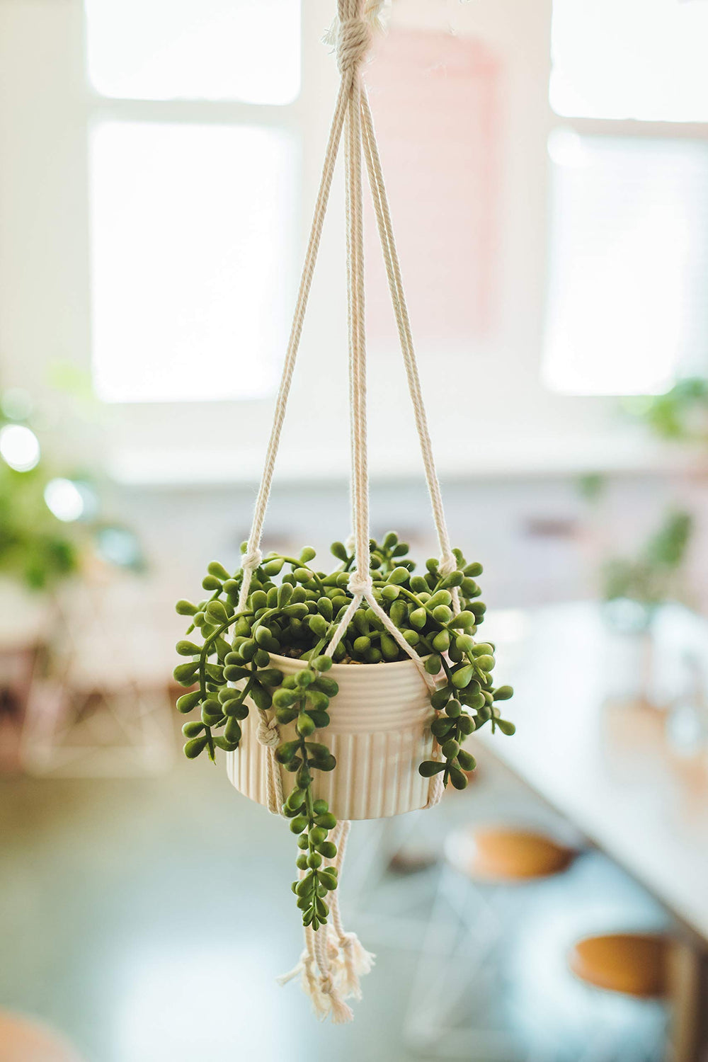 Faux String of Pearl in 4" Macrame Hanging Ceramic Planter - From Where - 