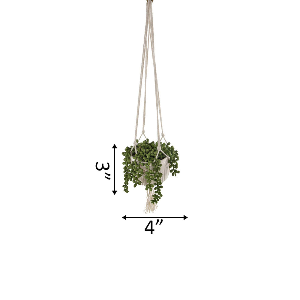 Faux String of Pearl in 4" Macrame Hanging Ceramic Planter - From Where - 
