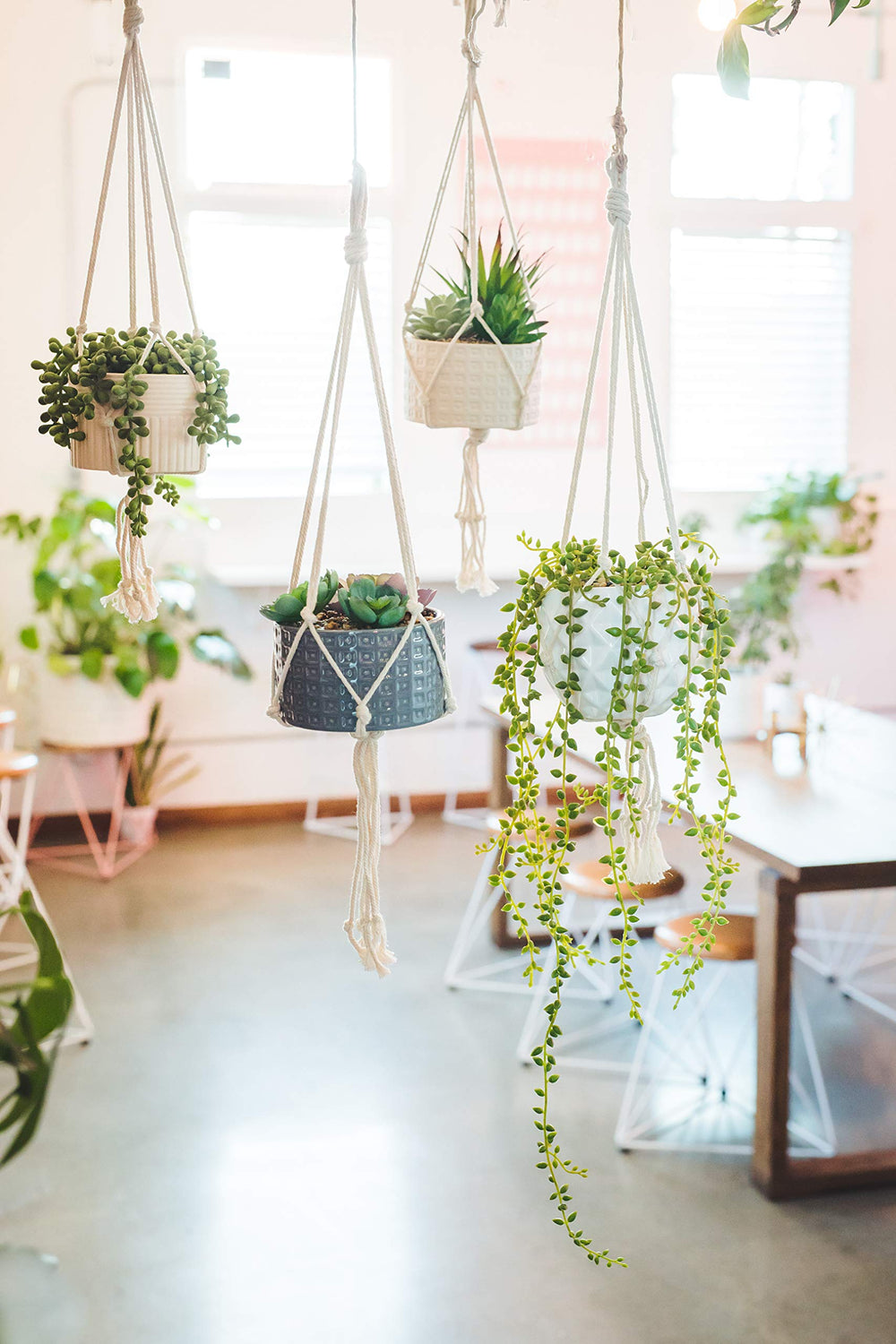 Faux String of Pearl in 4" Macrame Hanging Ceramic Planter - From Where - 