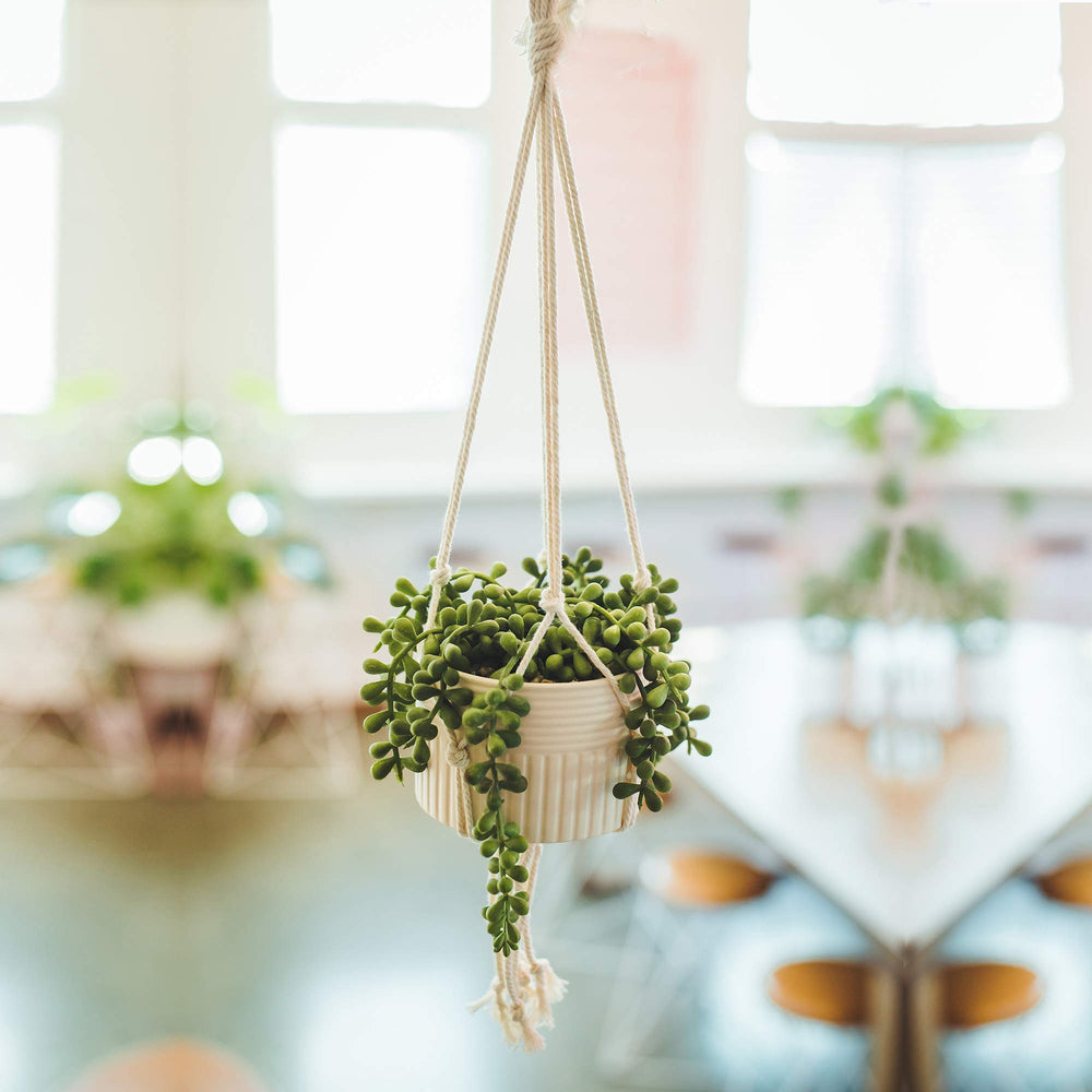 Faux String of Pearl in 4" Macrame Hanging Ceramic Planter - From Where - 