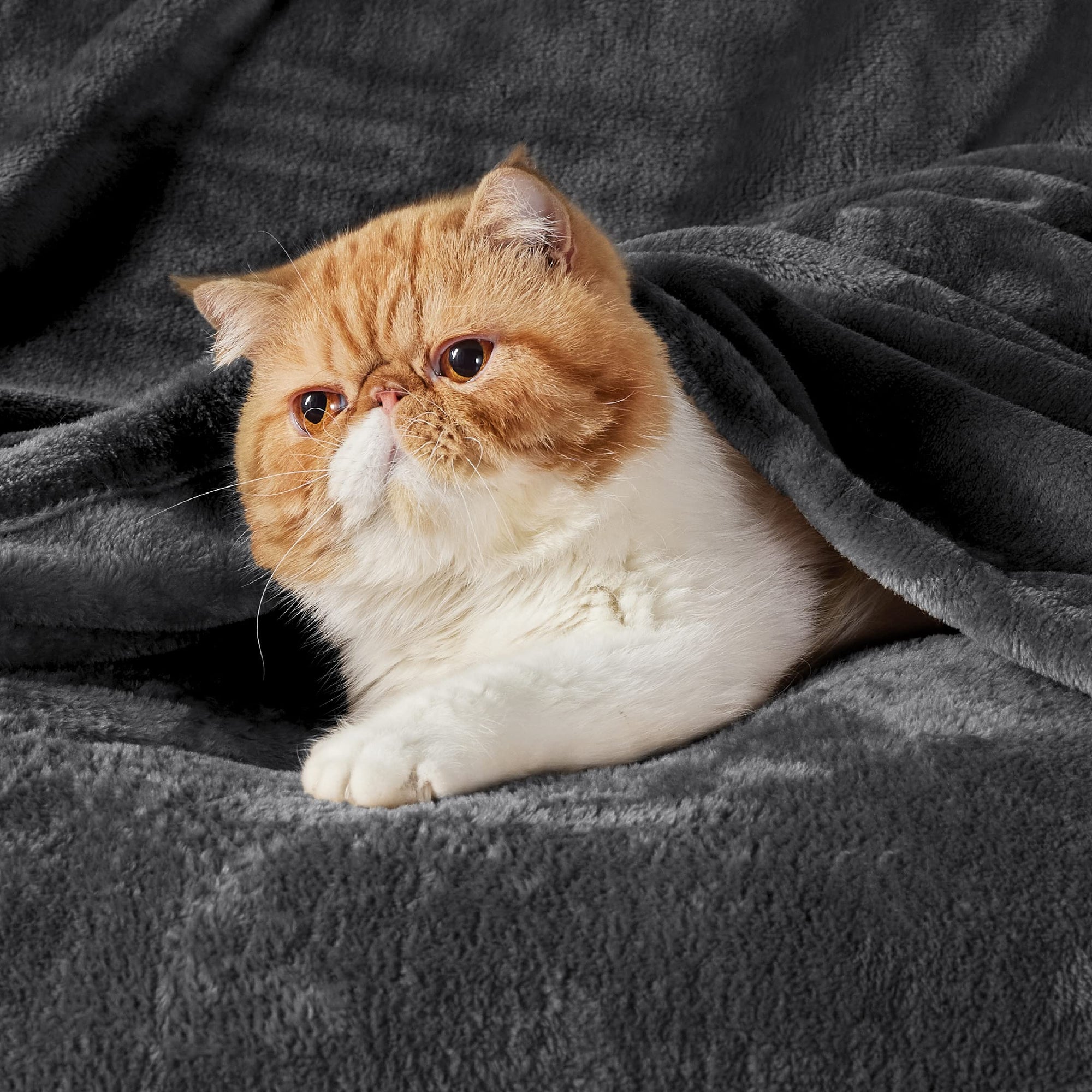 Fleece Blankets King Size Dark Grey - From Where - 