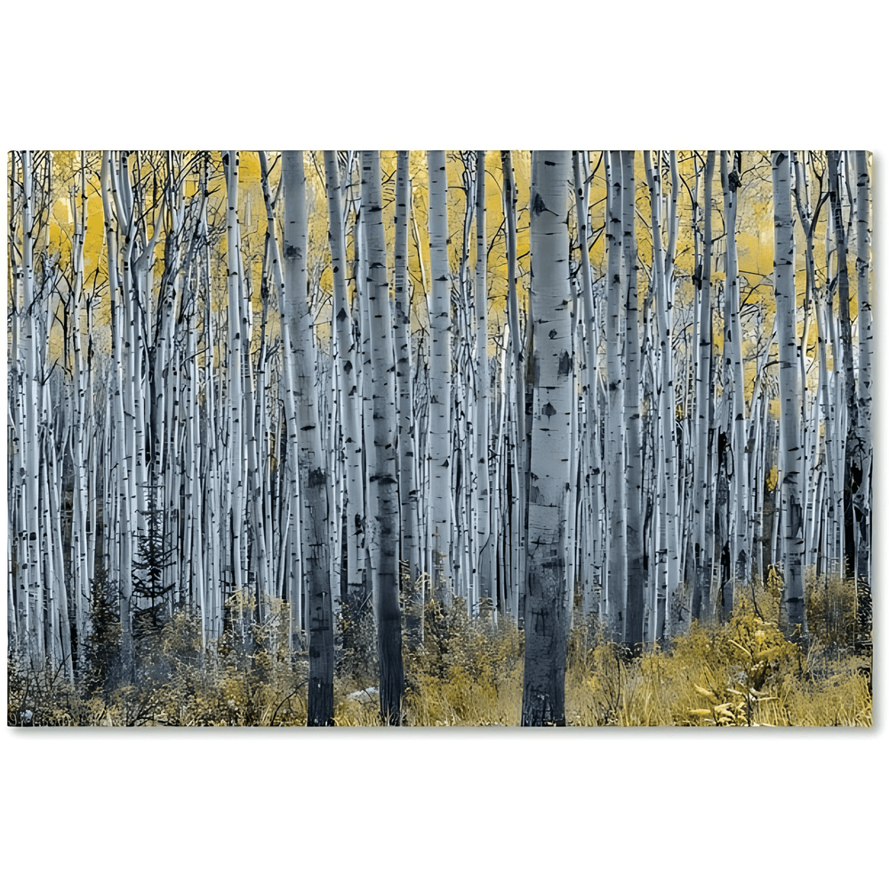 Forest of Aspen Trees Canvas Art - From Where -