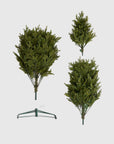 Fraser Fir Christmas Tree: Lit - From Where Finds - 