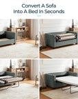 Full Size Pull Out Sleeper Sofa - From Where - 