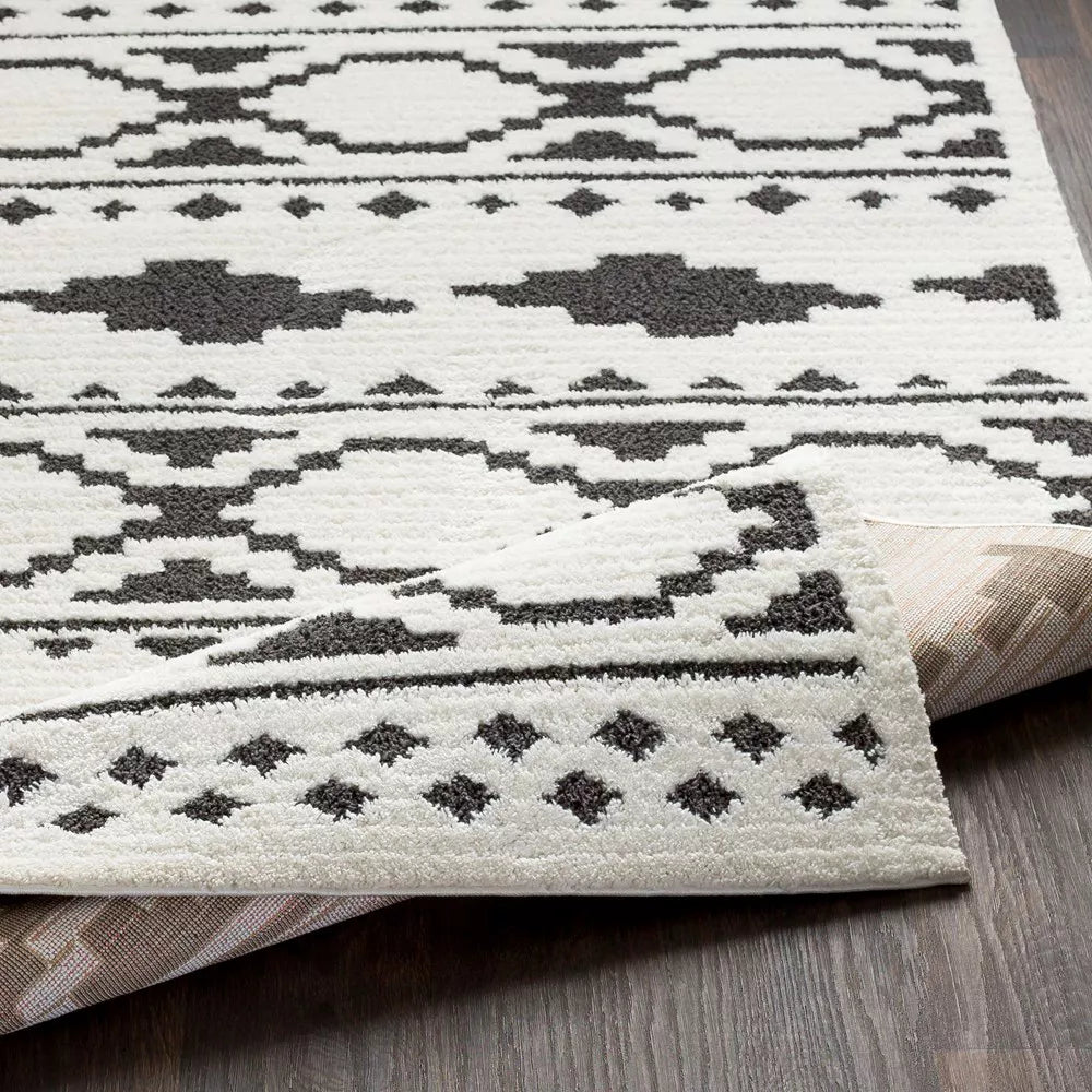 Gaaeel Woven Indoor Area Rugs - From Where - 