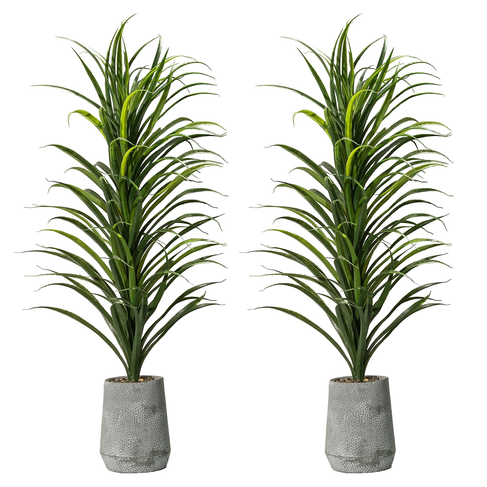 Grass Plant with Fiber Stone Pot - From Where - 