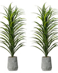 Grass Plant with Fiber Stone Pot - From Where - 
