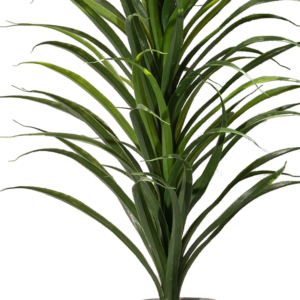Grass Plant with Fiber Stone Pot - From Where - 